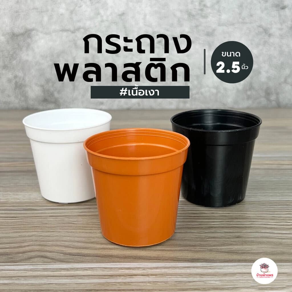 กระถางกลม 2.5 นิ้ว เนื้อเงา #BC01 กระถางพลาสติก แคคตัส กระบองเพชร ไม้อวบน้ำ Cactus&Succulent