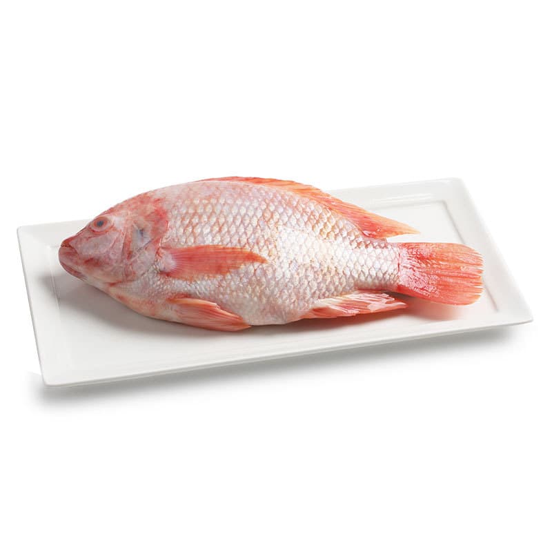 ท็อปส์ปลาทับทิมสด ขนาดประมาณ 400ถึง600กรัมต่อตัว Tops Tubtim Fish 400to600g. per pcs. [หมายเลขบาร์โค้ด 0216662000009 ]