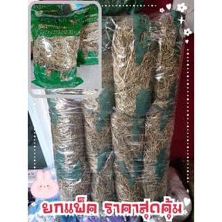 หญ้าแพงโกล่า แบบยกแพ็ค 1 แพ็คมี 10 ถุง บรรจุถุงละ 200 กรัม สำหรับสัตว์กินพืชทุกชนิด