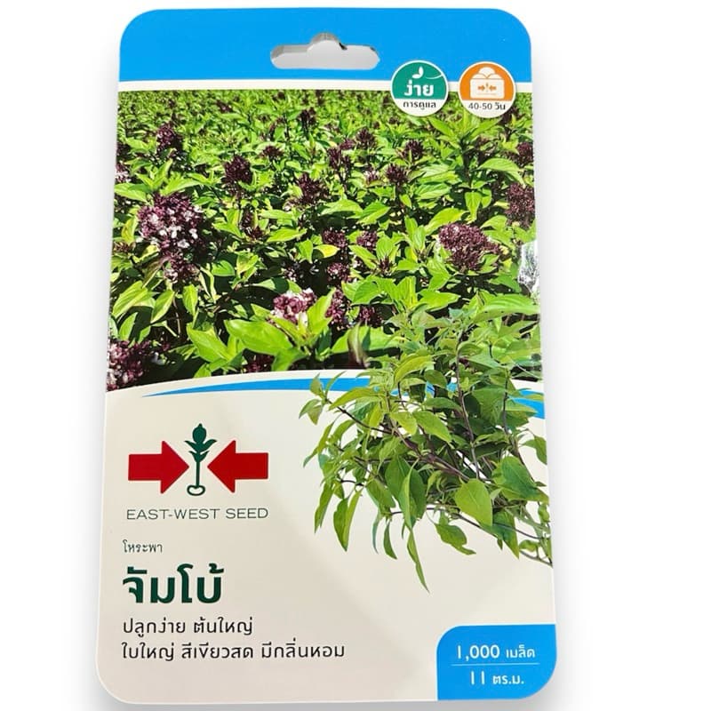 ศรแดง เมล็ด โหระพา จัมโบ้ (1000 เมล็ด)
