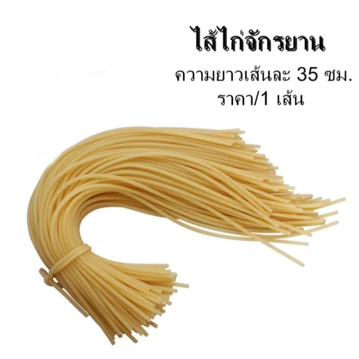 ไส้ไก่จักรยาน สำหรับสวมจุ๊บลมยางจักรยานชนิดไส้ไก่ ความยาวเส้นละ 35 ซม. ราคา/1 เส้น