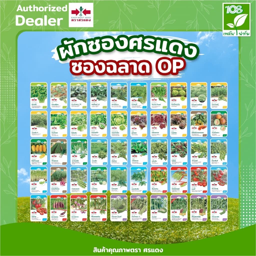 ขายส่ง ยกแพ็ค ผักซองศรแดง OP รวมเมล็ดพันธุ์  พริกและมะเขือ เมล็ดพันธุ์ตราศรแดง (1แพ็ค=10 ซอง)
